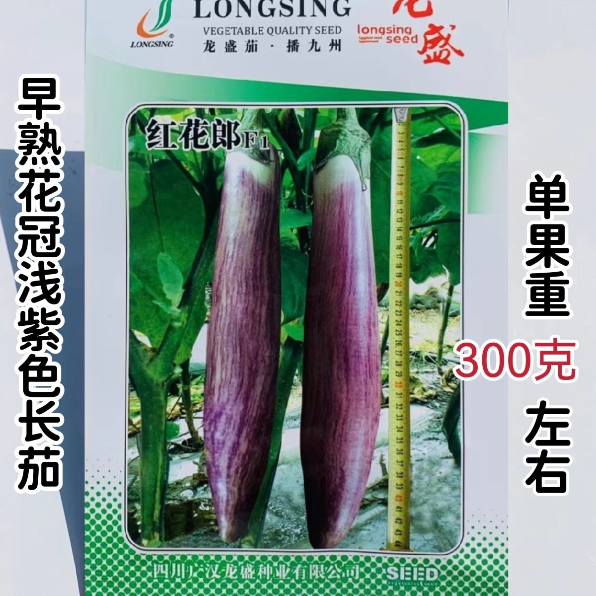 龙盛红花郎茄子种子早熟高产茄子果面浅绿色带紫红色细条纹长茄种