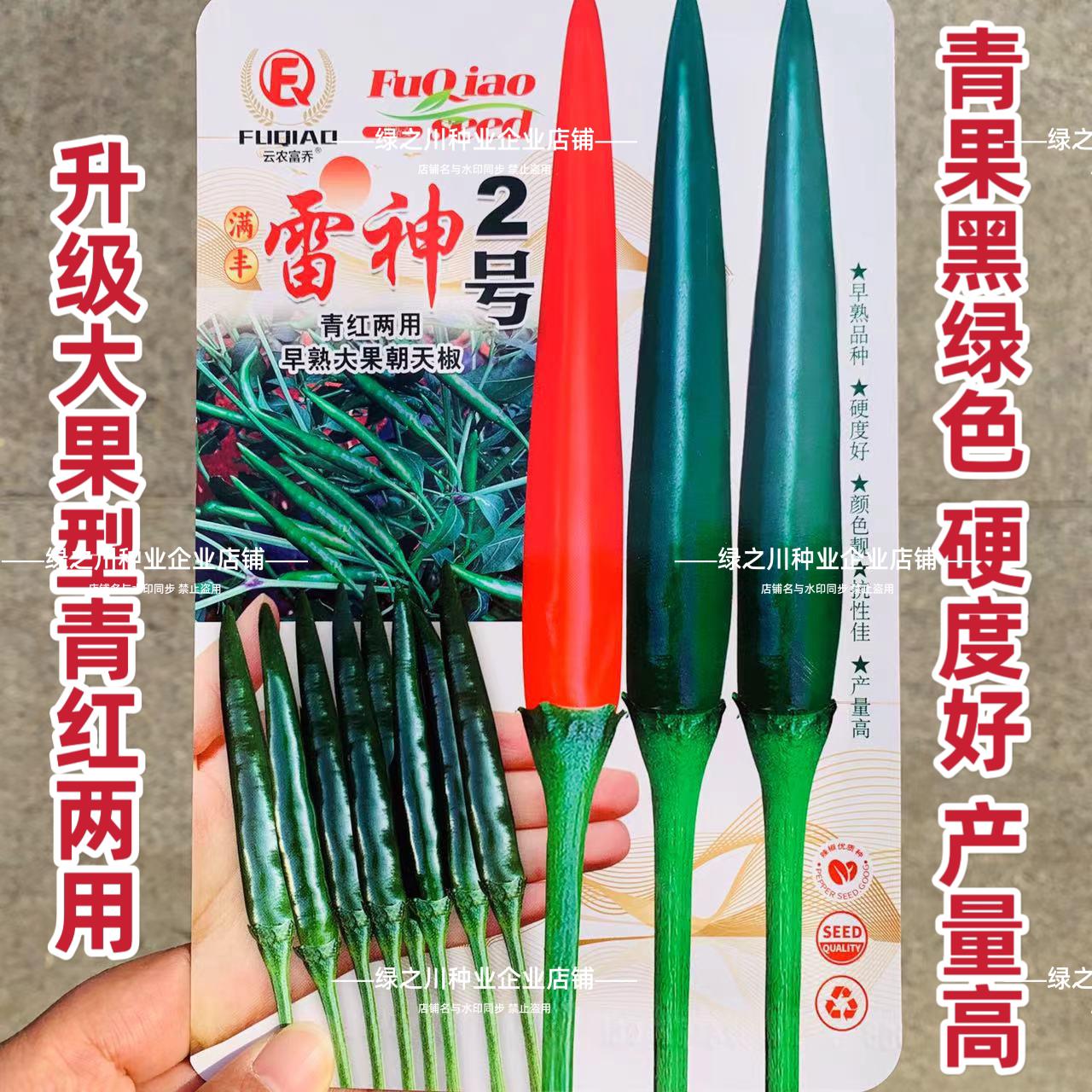 两广热销黑绿色朝天椒种籽满丰雷神2号辣椒种子泰国高产青红两用