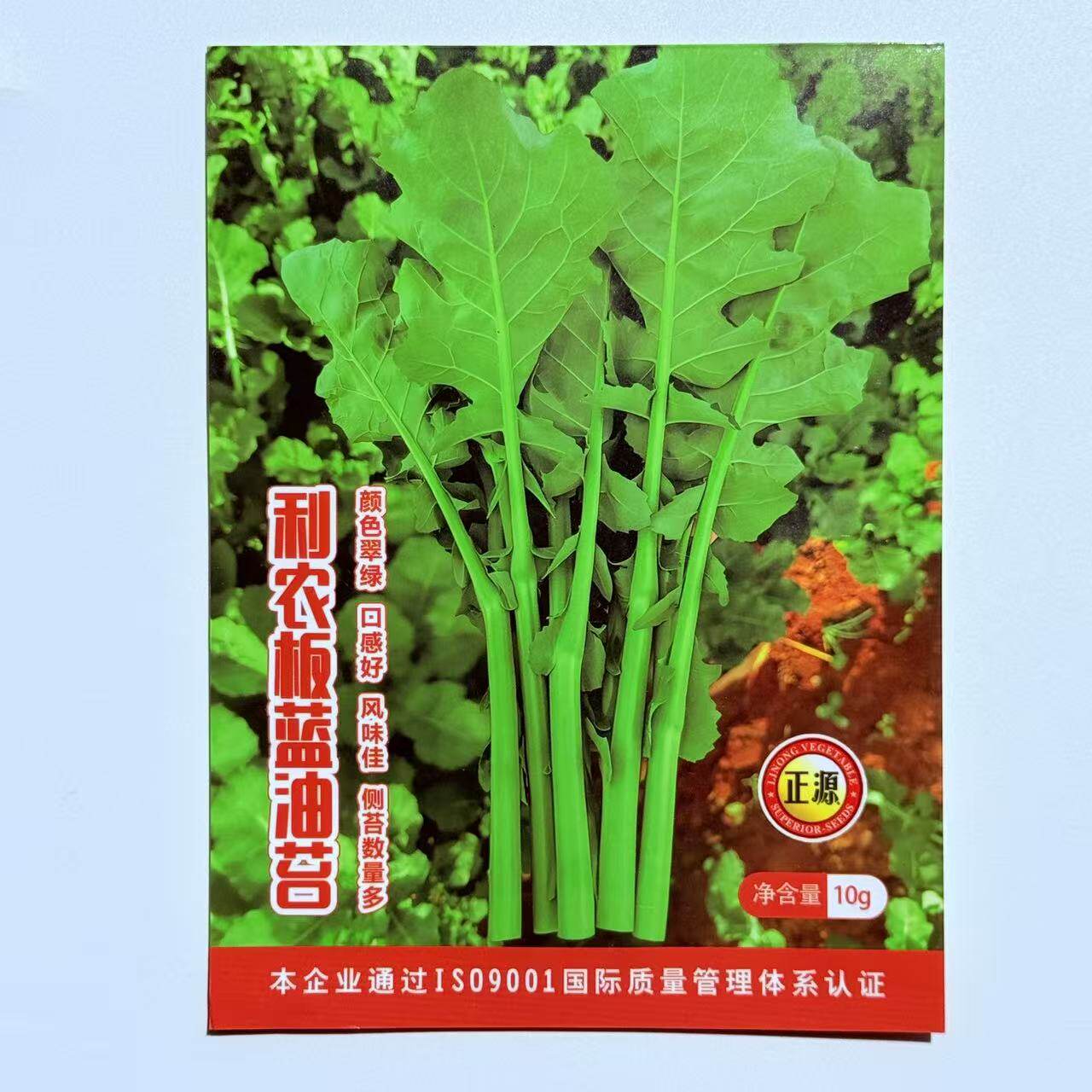 利农板蓝油苔青菜种子油菜苔种子板蓝根菜籽四季种植清热蔬菜种孑