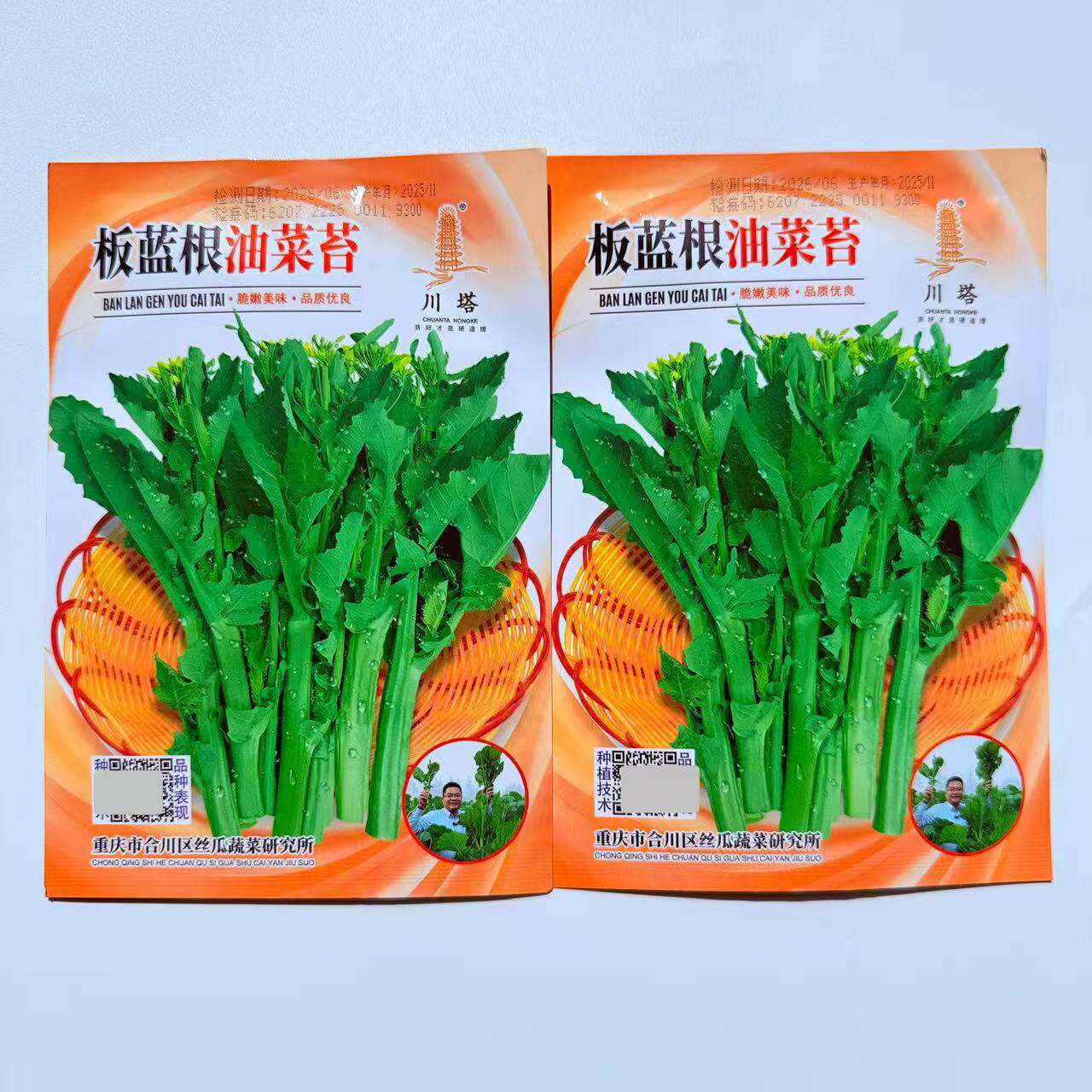板蓝根油菜苔种子杂交高产抗病油菜苔种籽农家春秋播蔬菜种籽孑子