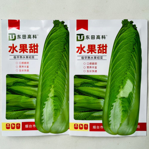 水果甜白菜种子绍菜种子龙牙白菜甜脆薄叶绿叶青麻叶菜秋蔬菜种籽