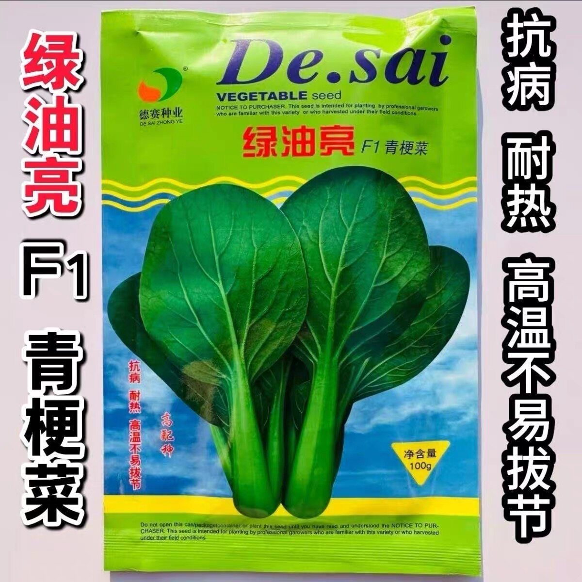 德赛绿油亮青梗菜种子耐热油绿小青菜种籽夏秋小油菜种子抗病高产