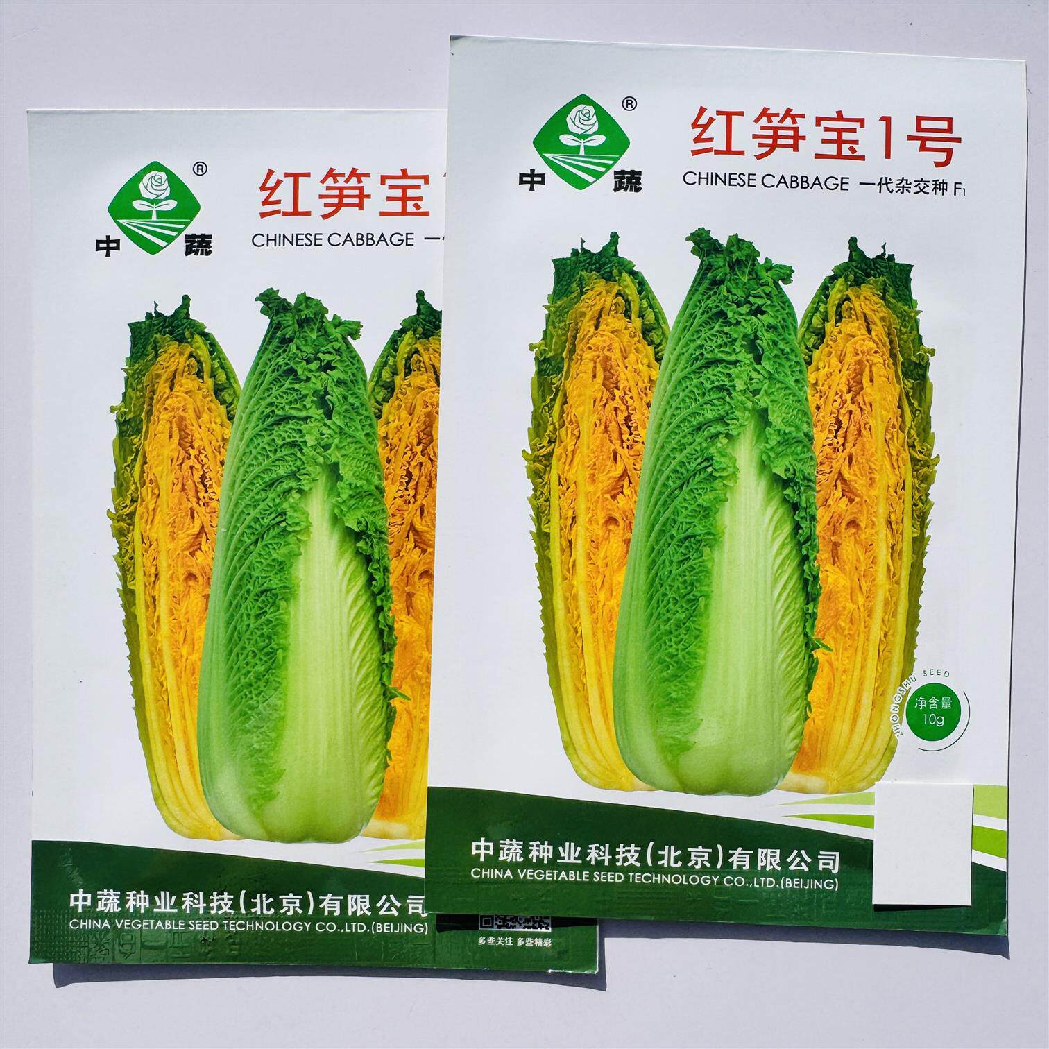 红笋宝1号龙牙白菜种子橘红心拧抱炮弹型黄心秋播大白菜种子