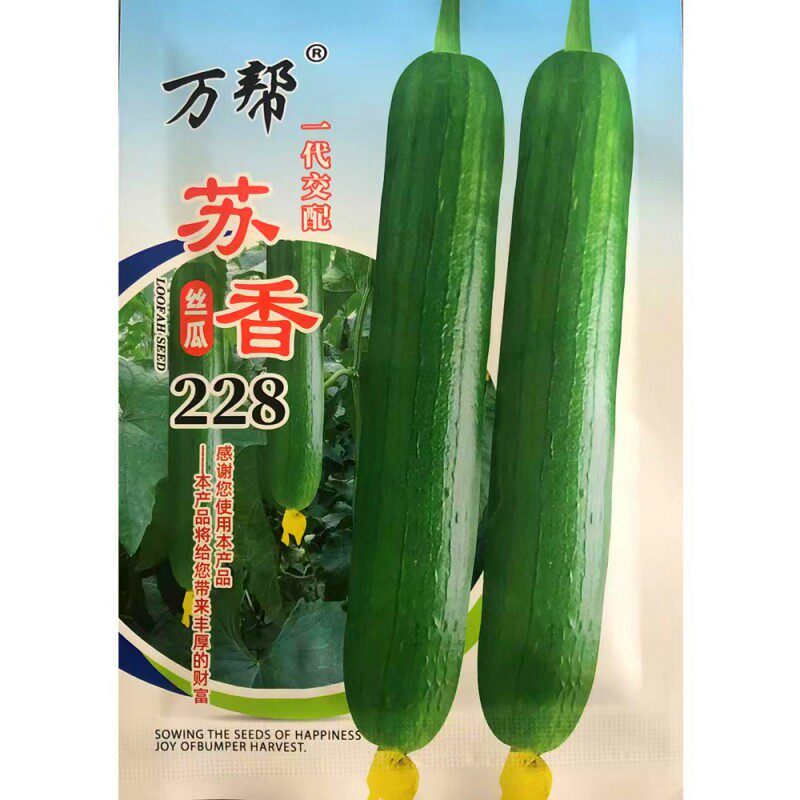 苏香228杂交丝瓜种籽孑抗病高产早中熟南北方春夏秋季播蔬菜种子