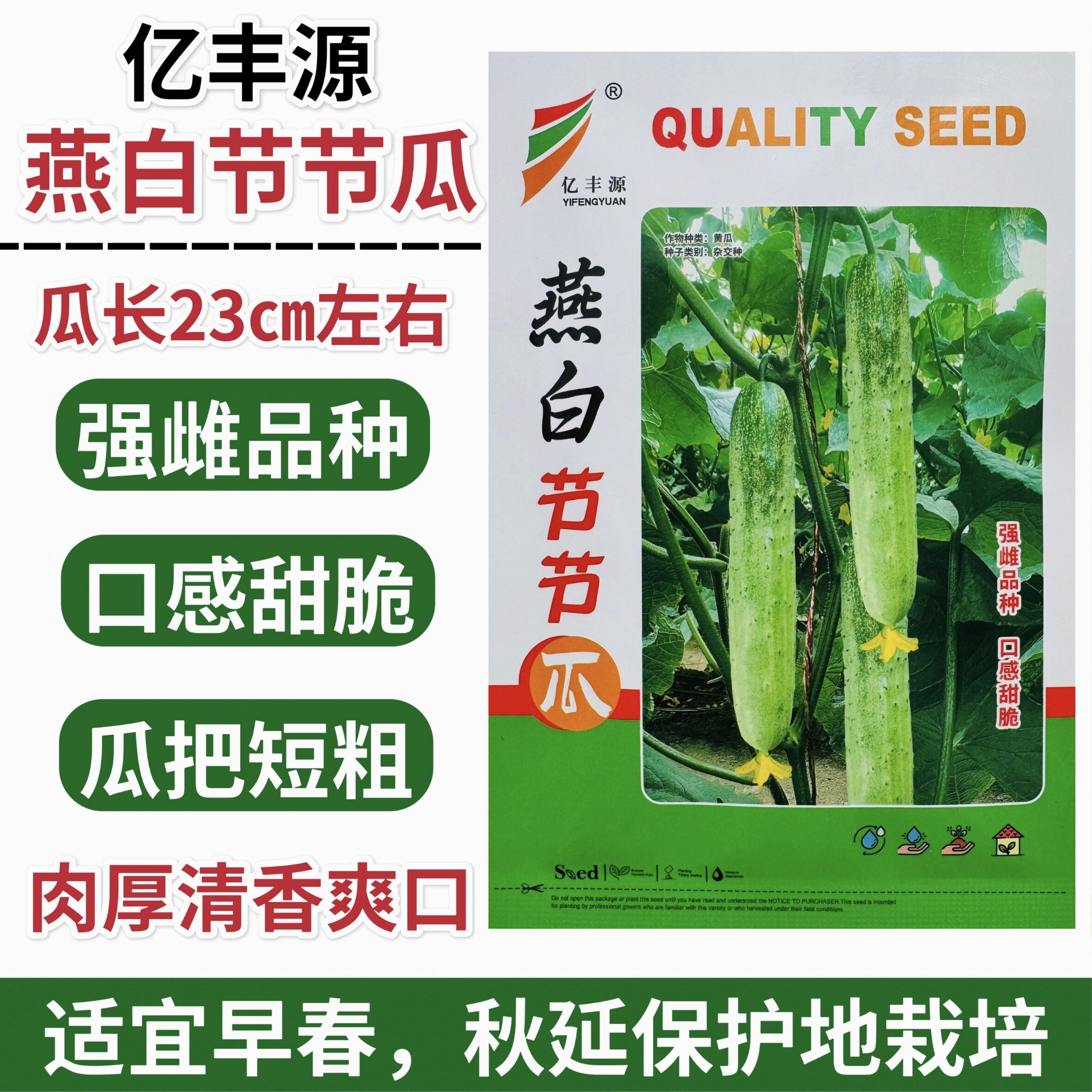 燕白节节瓜种子强雌性黄瓜种子清香早熟杂交瓜条顺直亮绿白色春秋