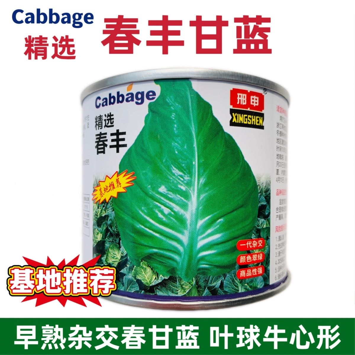精选春丰甘蓝种子早熟春甘蓝牛心菜种籽甘兰菜卷心菜种籽春秋越冬