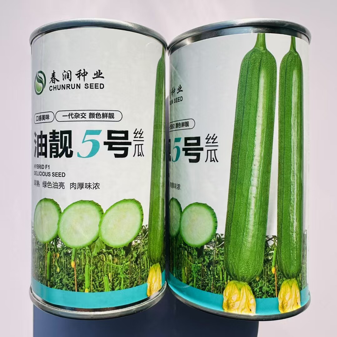春润种业油靓5号丝瓜种子早熟短棒油亮香丝瓜种子高产瓜味浓春播