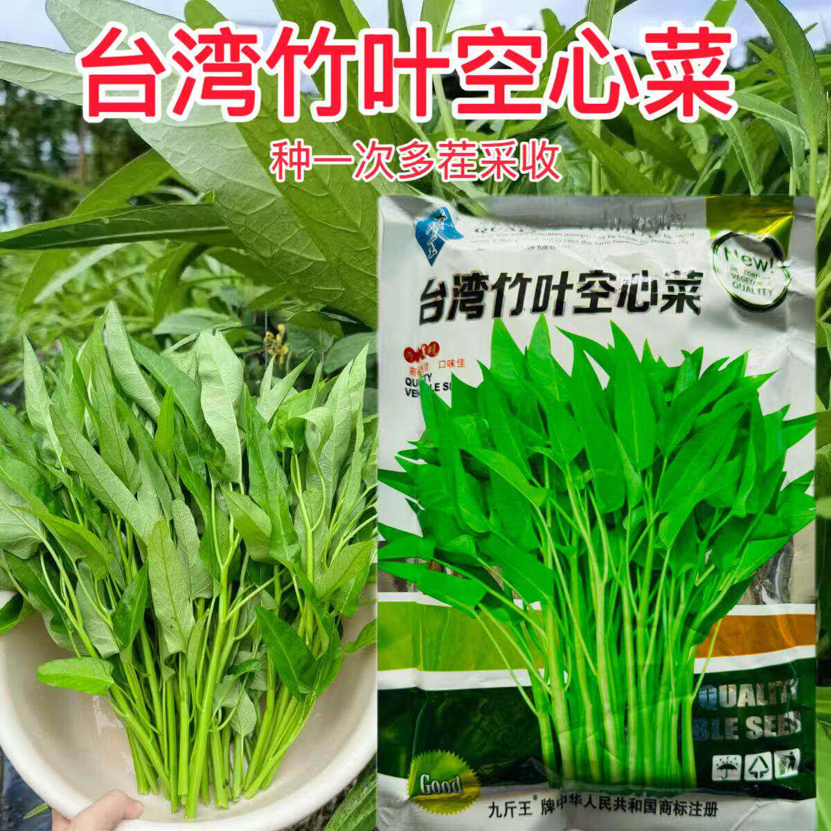 九斤王台湾竹叶空心菜种子口感好早熟高产耐热耐湿农家春秋播精选