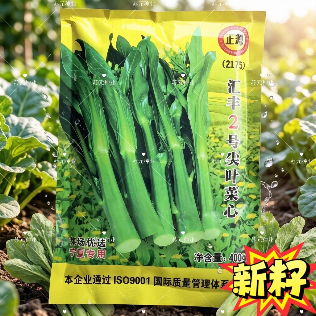 汇丰2号尖叶菜心种子中迟熟甜脆无渣茎苔粗大叶柄短广东菜心种籽