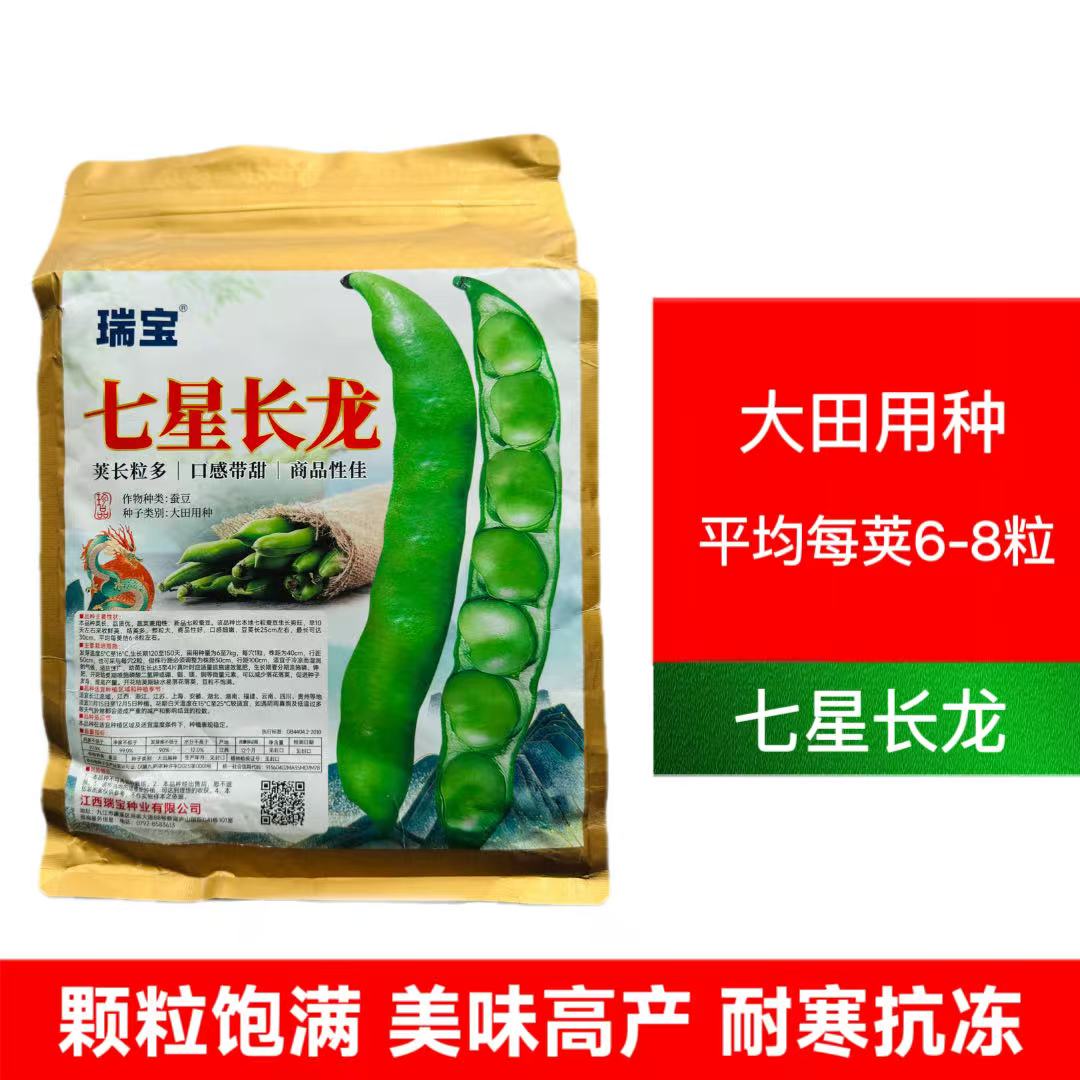 江西瑞宝七星长龙蚕豆种子口感好长荚大粒高产抗病商品性佳秋季播