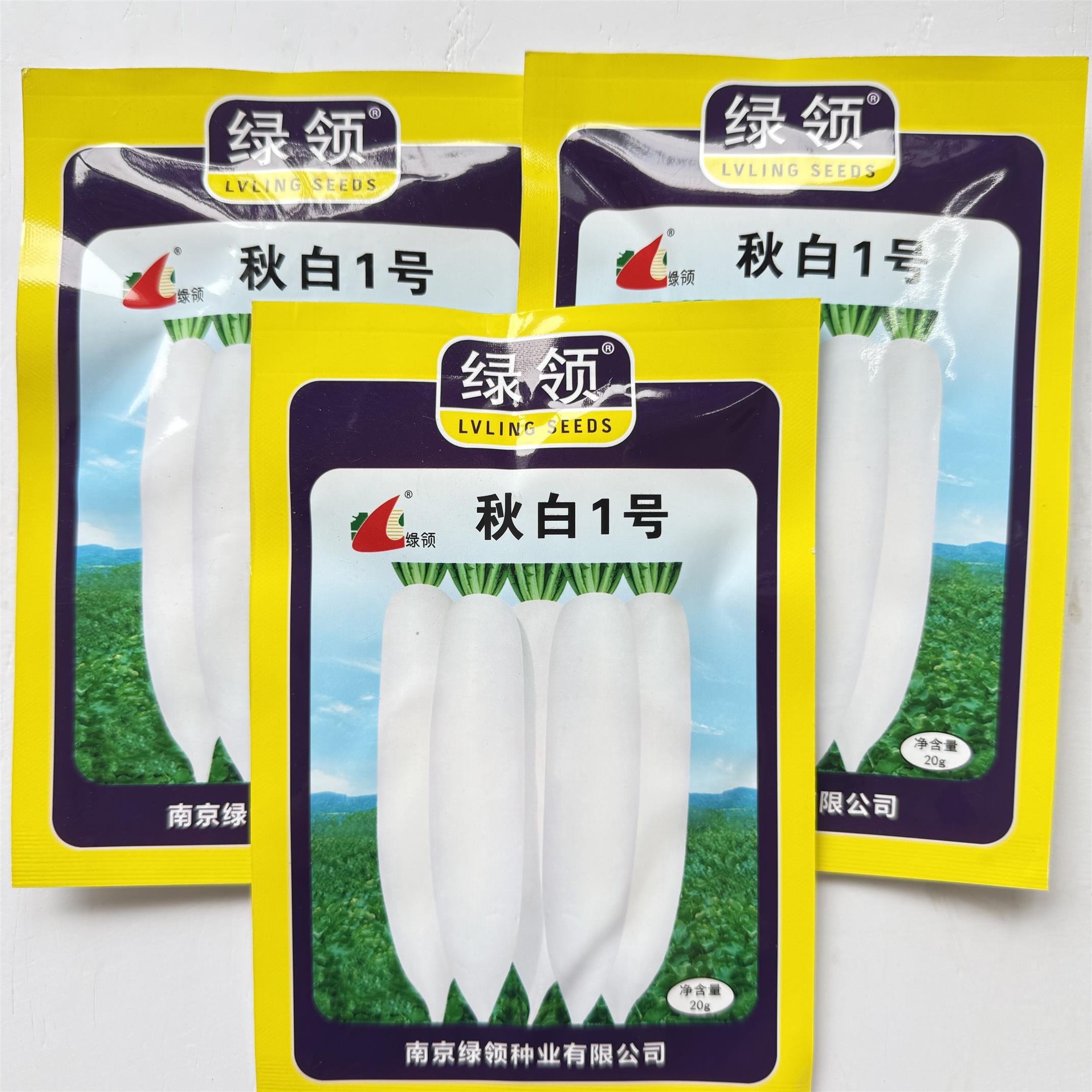 绿领秋白1号白萝卜种子杂交60-80天中晚熟白皮白肉大长白罗卜种籽