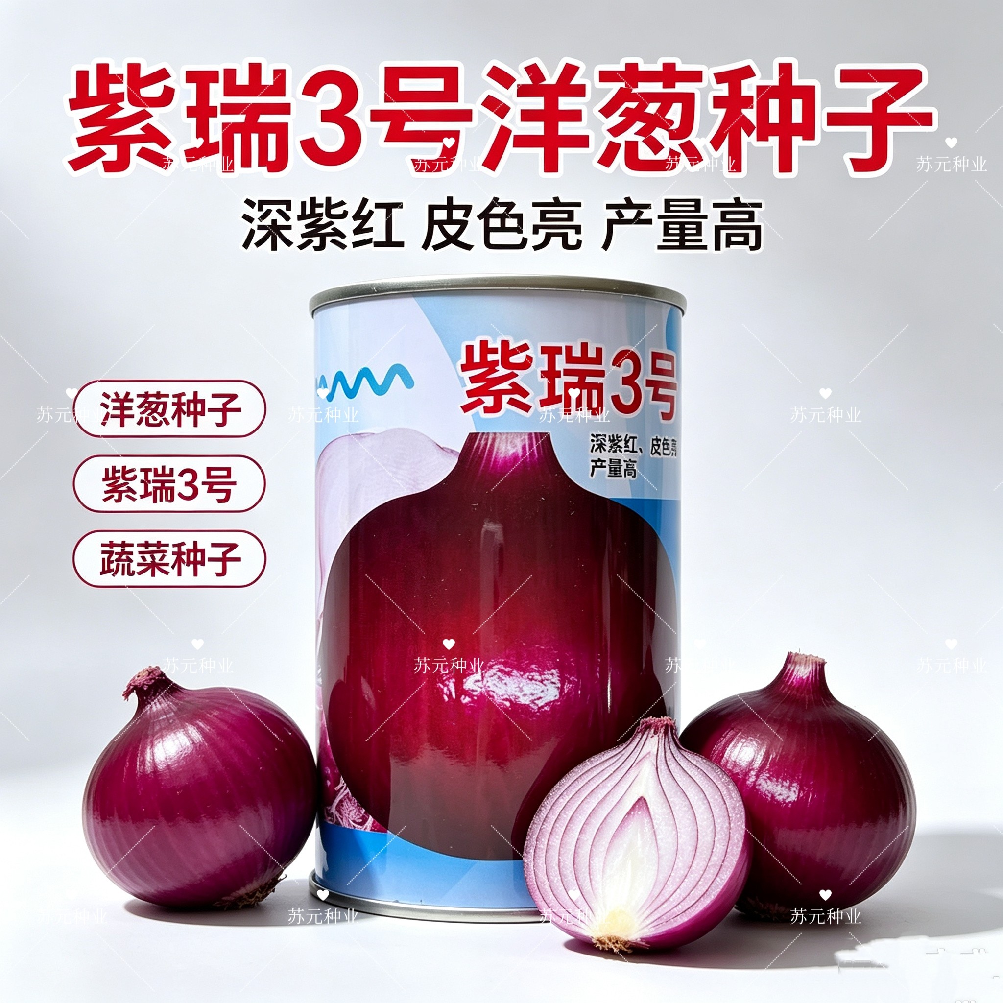 紫瑞3号洋葱种子深紫红 皮色亮产量高 中日照半高桩 生食口感好