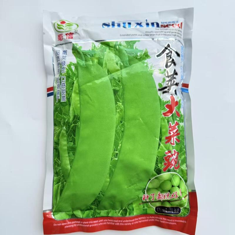 蜀信食荚大菜豌种子荷兰豆甜脆豌碗豆角种籽四川秋冬季田园蔬菜孑