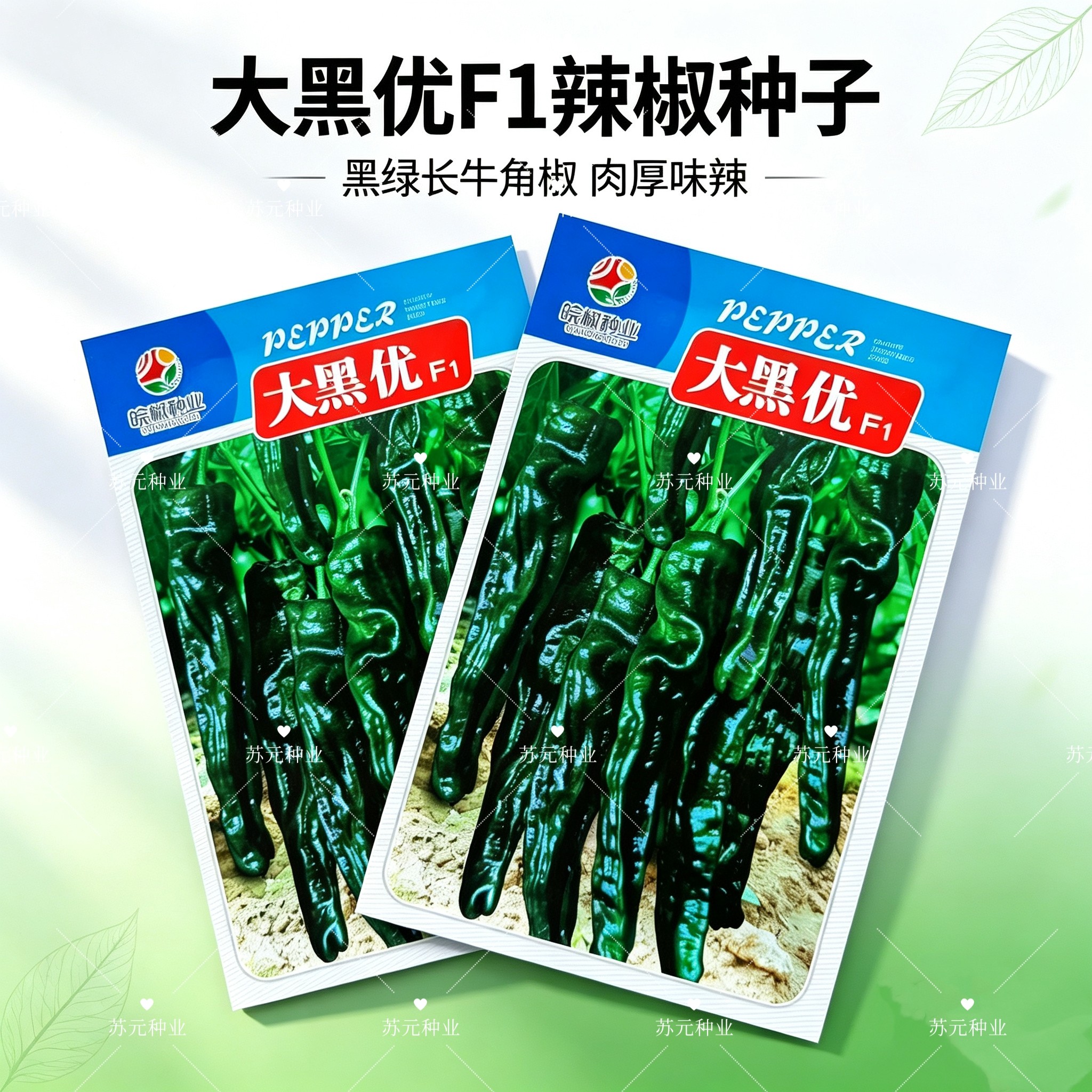 徽娇大黑优皱皱皮辣椒种子中早熟深绿色皮薄辣味浓口感好产量高