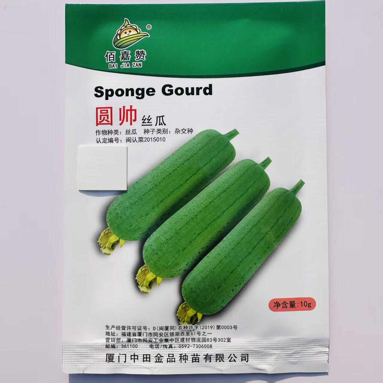 台湾引进圆帅丝瓜种子 短棒形肉丝瓜种籽颜色浓绿中早生丝瓜种孑