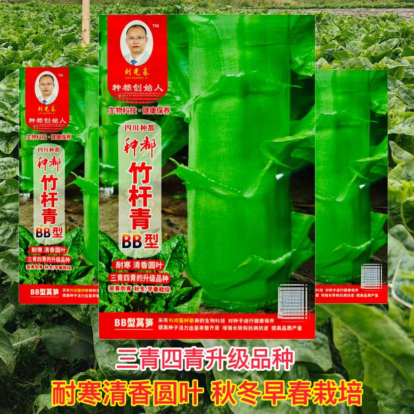 种都竹杆青BB型青皮绿肉香莴笋种子高产耐热耐寒圆叶春秋播莴苣
