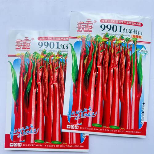 9901正宗武汉红菜苔种子洪山菜苔种子早熟秋冬高产耐寒抗病春秋播
