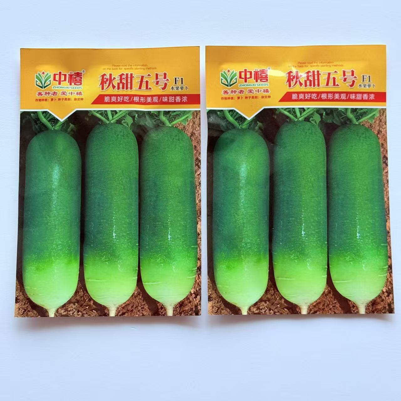 秋甜五号F1杂交水果青萝卜种子 青皮绿肉脆甜秋播大田蔬菜种