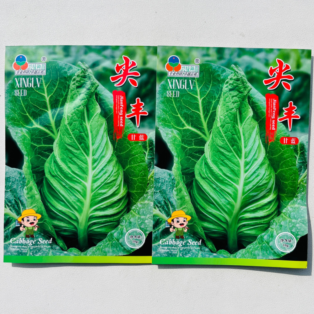尖丰牛心甘蓝种子杂交早熟质地脆嫩包菜卷心菜种籽农家春秋季播种