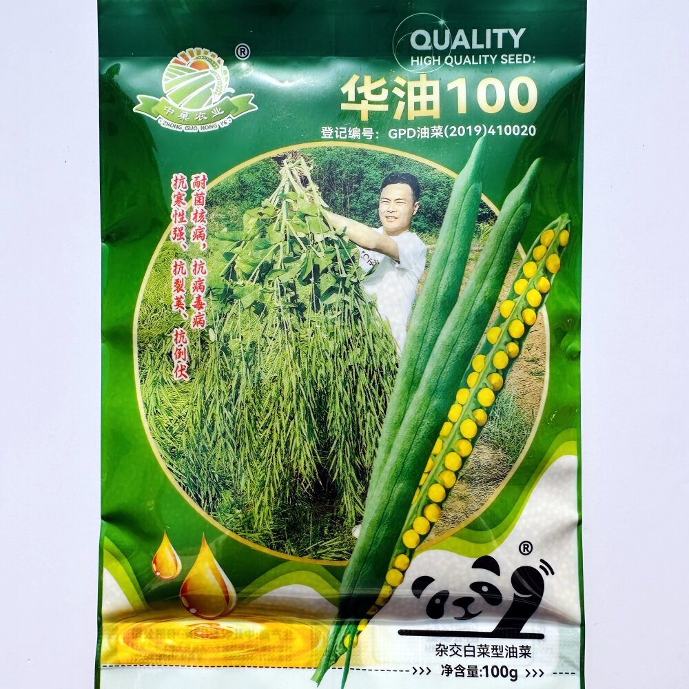 华油100白菜型油菜种子抗病抗寒抗倒伏杂交油菜籽种籽孑