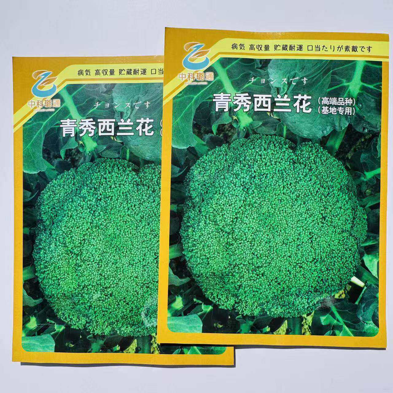 青秀西兰花种子杂交中熟西兰花种子春秋季深绿色花椰菜西蓝花种子