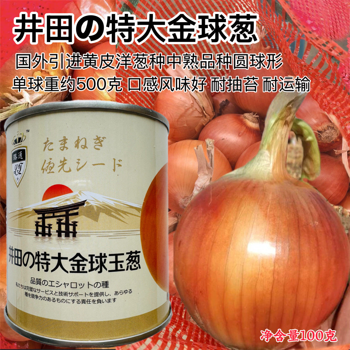 特大金球玉葱种子黄皮洋葱种籽农家菜园中熟圆球形阳葱种孑蔬菜种
