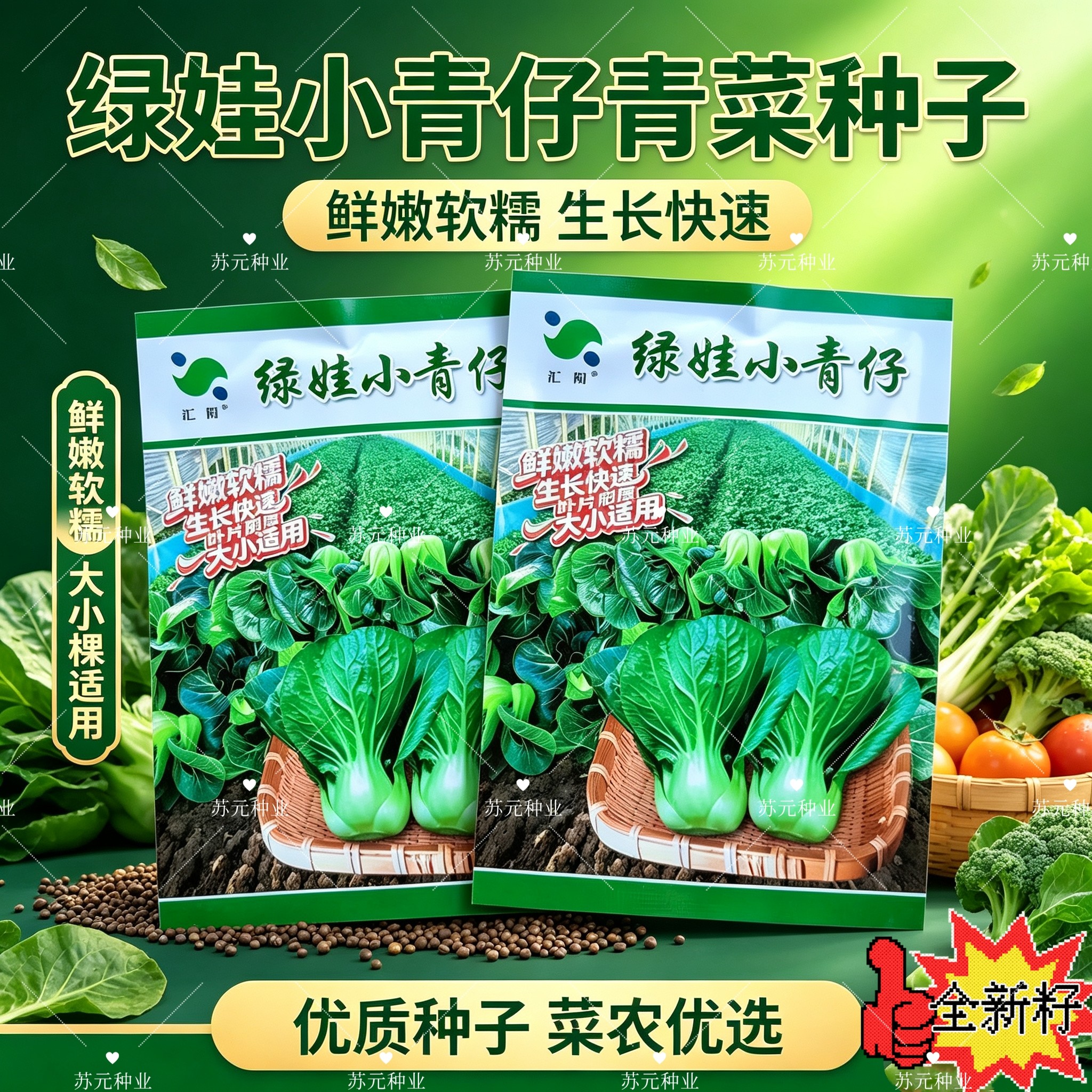 绿娃小青仔青梗菜种子早熟矮脚小型上海青油菜种籽耐寒耐热蔬菜籽