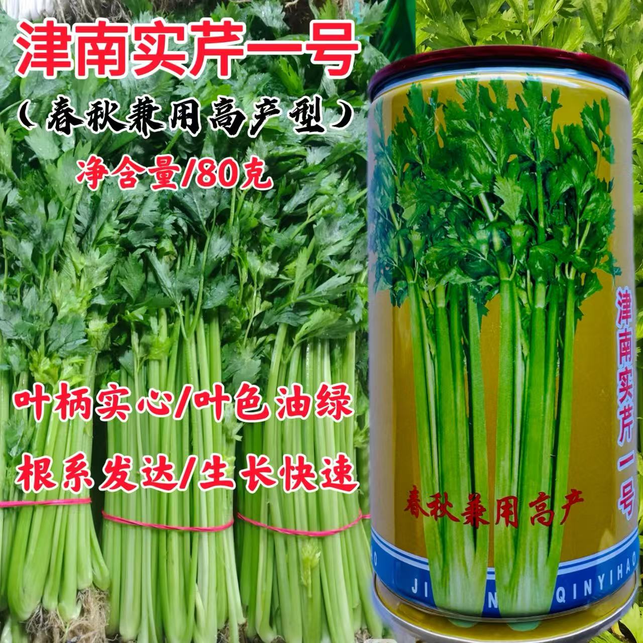 津南实芹实心一号芹菜种子耐抽苔四季香芹种子脆嫩高产抗病蔬菜种