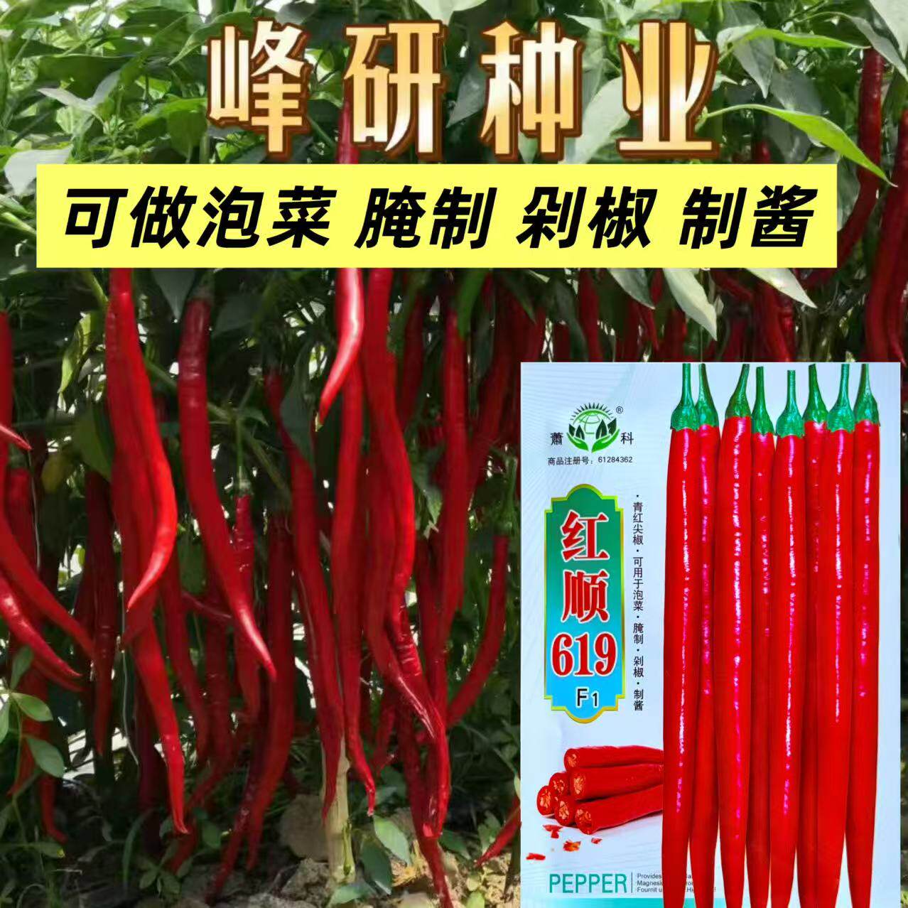 红顺619辣椒种子香辣王线椒种籽杭椒早熟高产四季播大田蔬菜种子