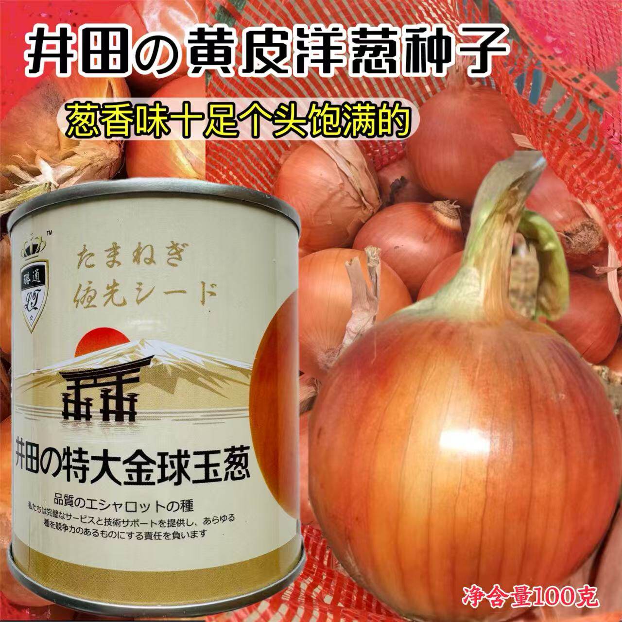 井田特大金球玉葱种子日本进口黄皮洋葱种籽口感甜脆耐抽薹耐运输