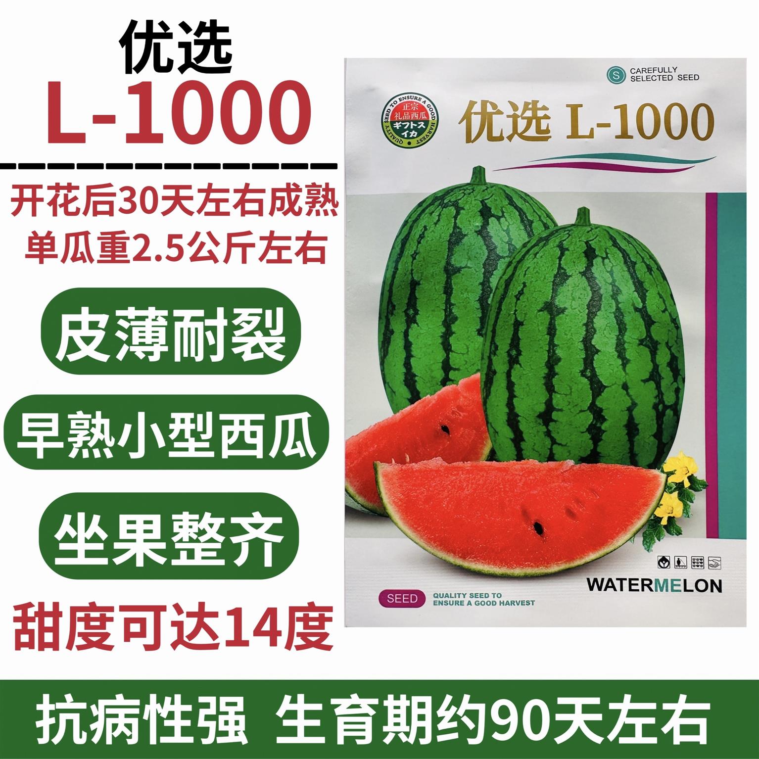优选L1000礼品西瓜种子早熟小型杂交椭圆形西瓜种籽高糖皮薄耐裂