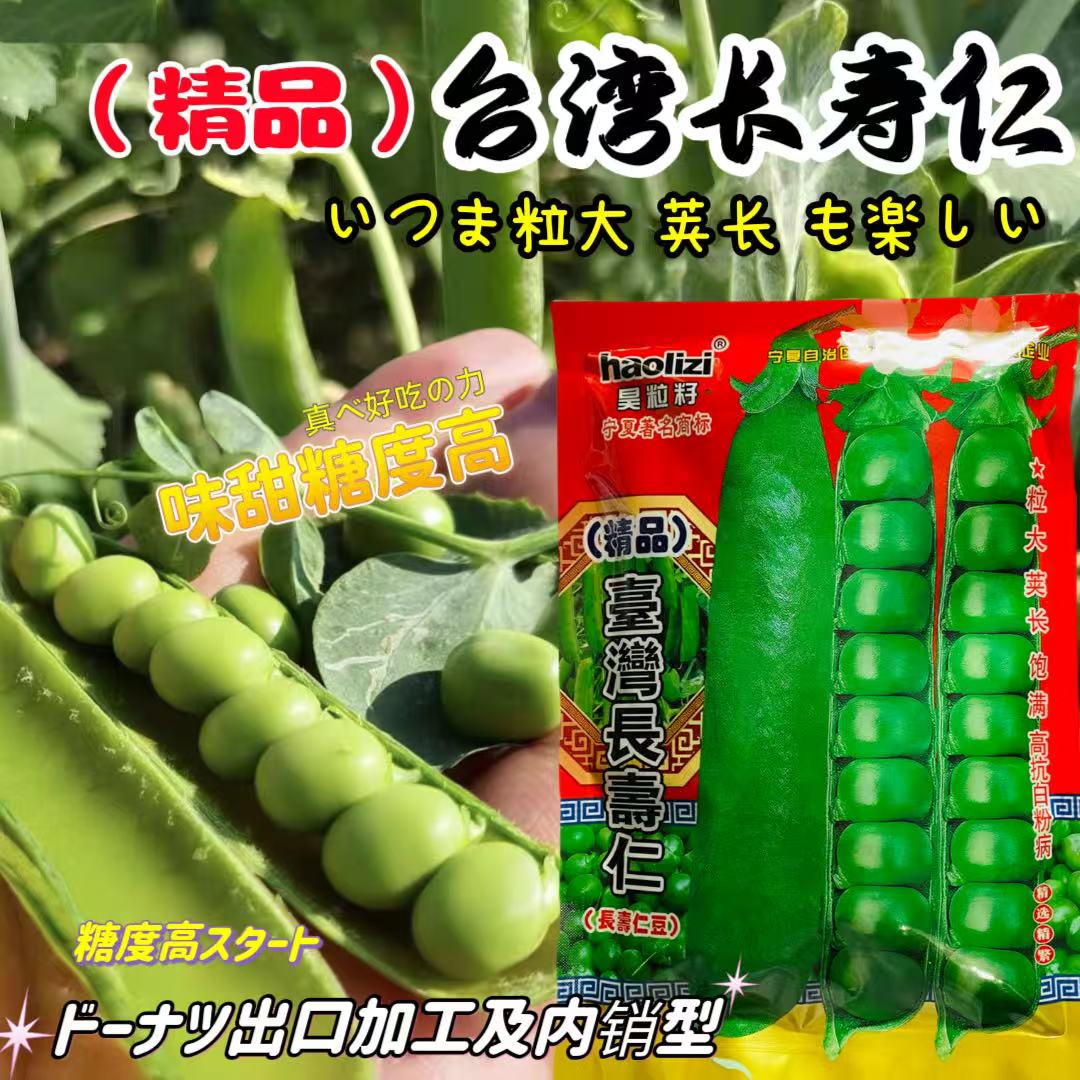 精品台湾长寿仁碗豆种子早熟高产夹长饱满粒大味甜基地用豌豆种子