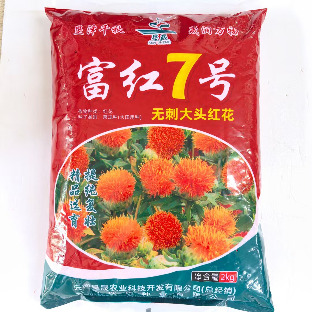 富红7号滇红花种子花朵大无刺花丝长耐寒耐瘠产量高南北方春秋播