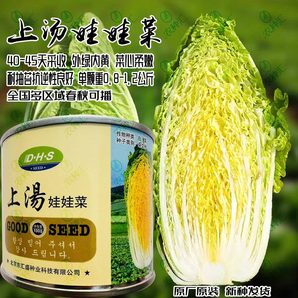 上汤娃娃菜种子一杂交迷你黄心娃娃菜小白菜种籽外叶浓绿内叶金黄