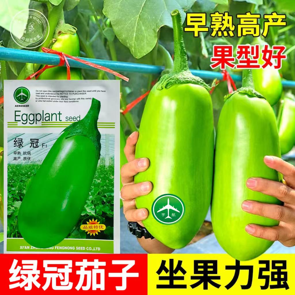 绿冠F1绿罐茄子种子早熟抗病高产长绿茄种籽大田四季蔬菜种子