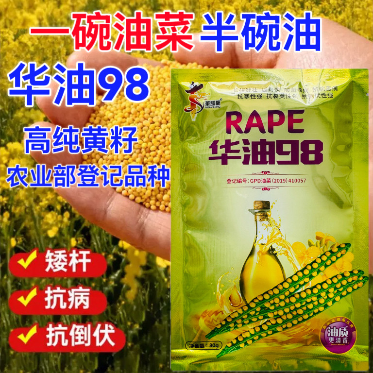 华油98油菜籽杂交高产榨油油菜花种子黄油菜籽早熟耐寒抗倒出油高