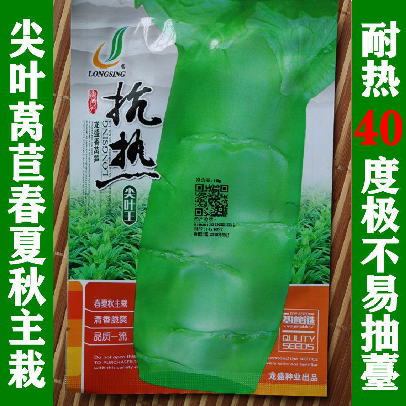 莴笋种籽耐热45度青皮青肉尖圆叶特抗热香莴苣种子春夏天秋季菜种