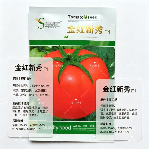 金红新秀番茄种子红果沙瓤自封顶西红柿种味酸甜抗早晚疫病原装种