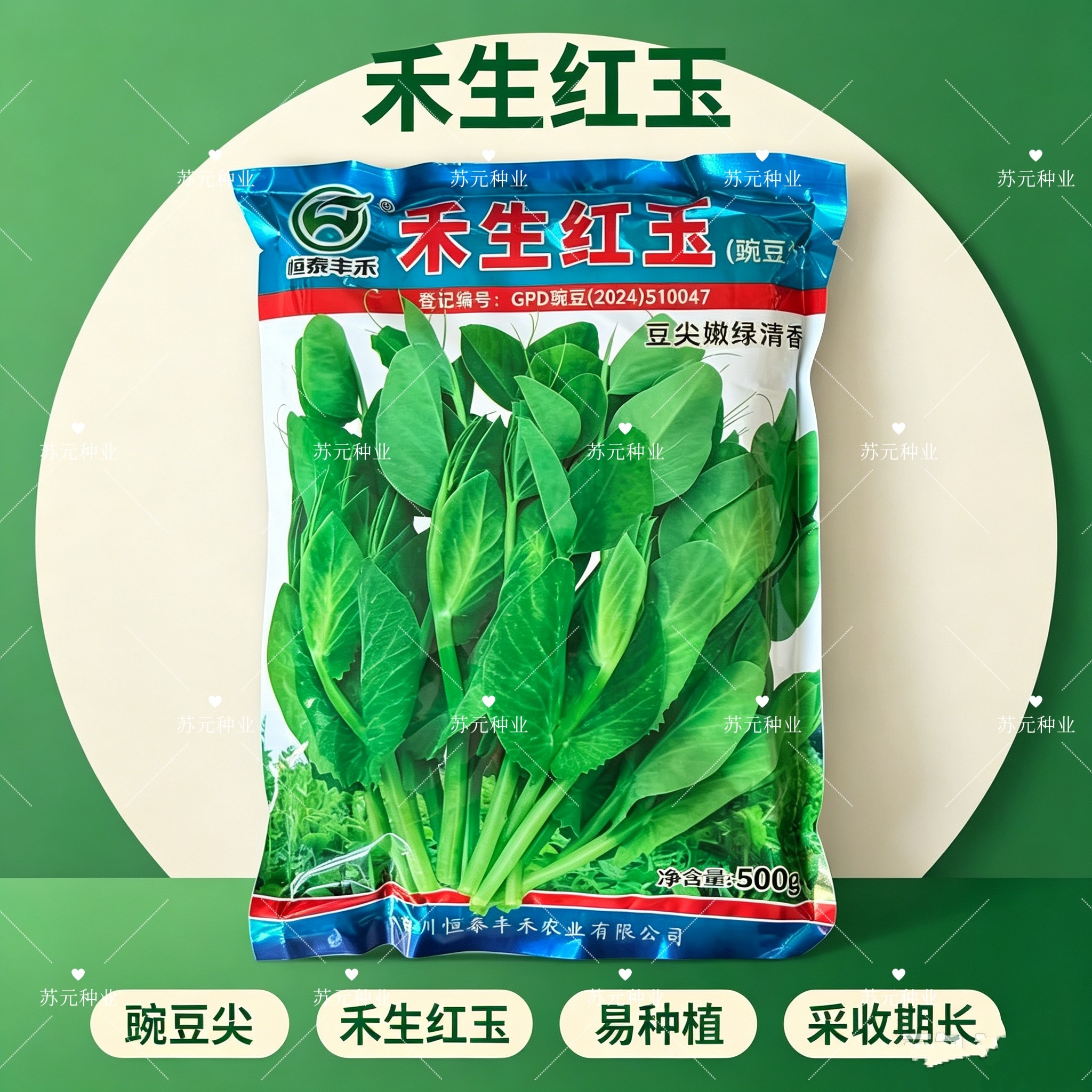 禾生红玉豌豆尖种子豆尖嫩绿清香无须豌豆苗种子四季盆栽蔬菜种籽