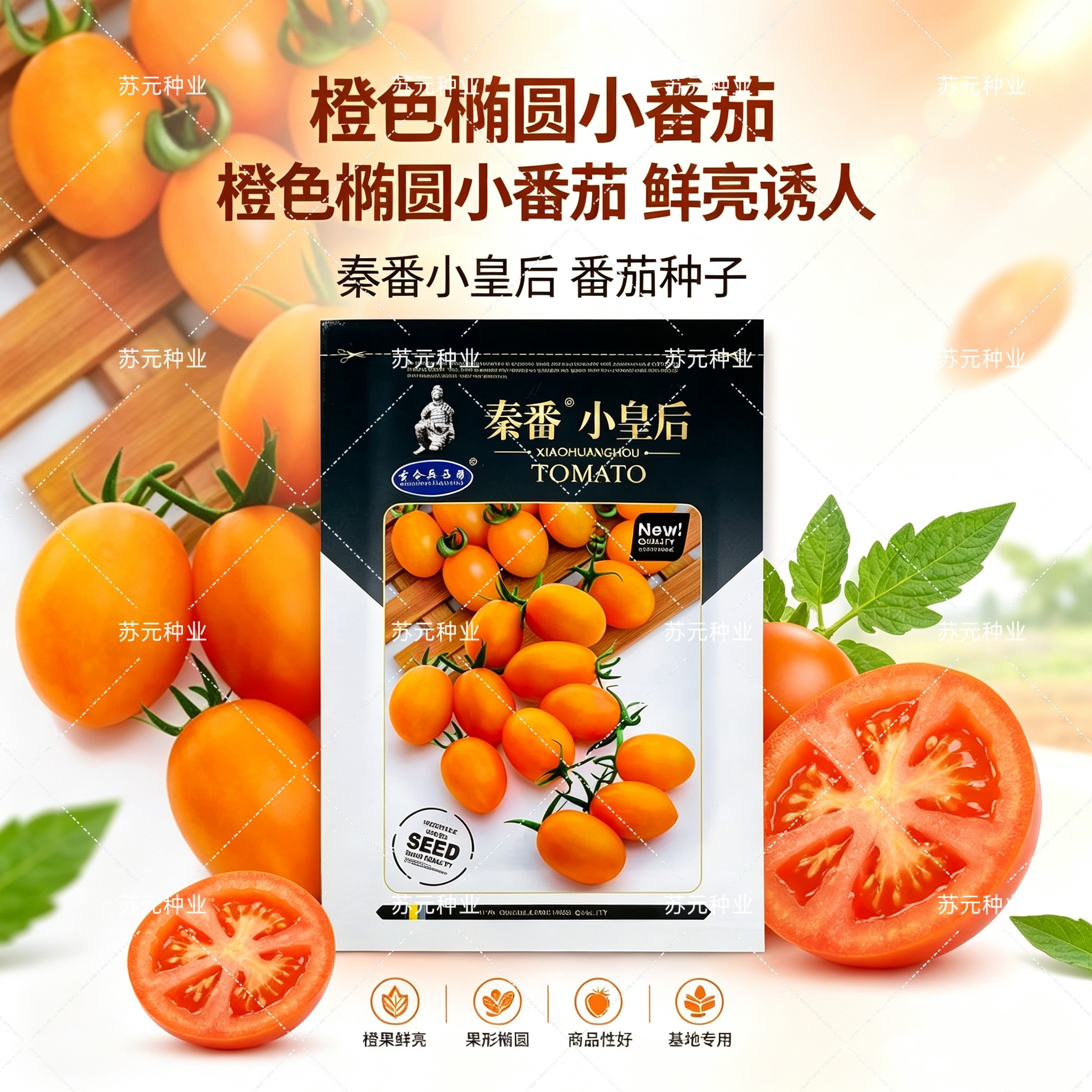 秦番小皇后番茄种子水果番茄种籽无限生长水果番茄种子圣女果种子