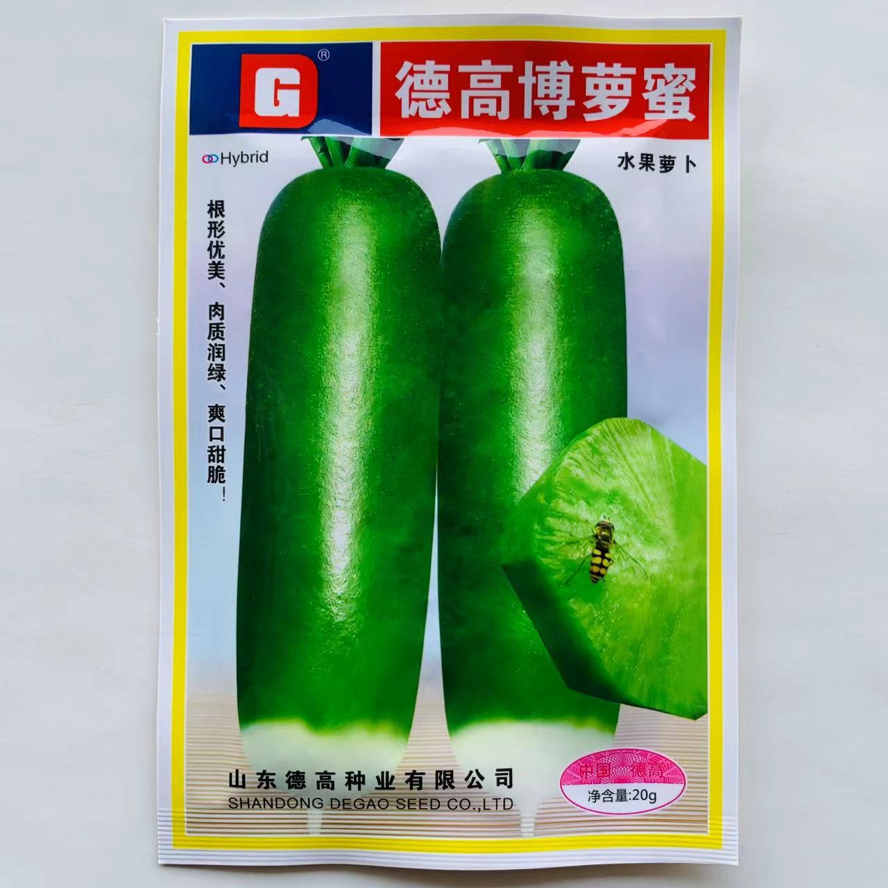 博罗蜜水果萝卜种子青皮青肉一代杂交鲜食脆甜萝卜籽秋季播种