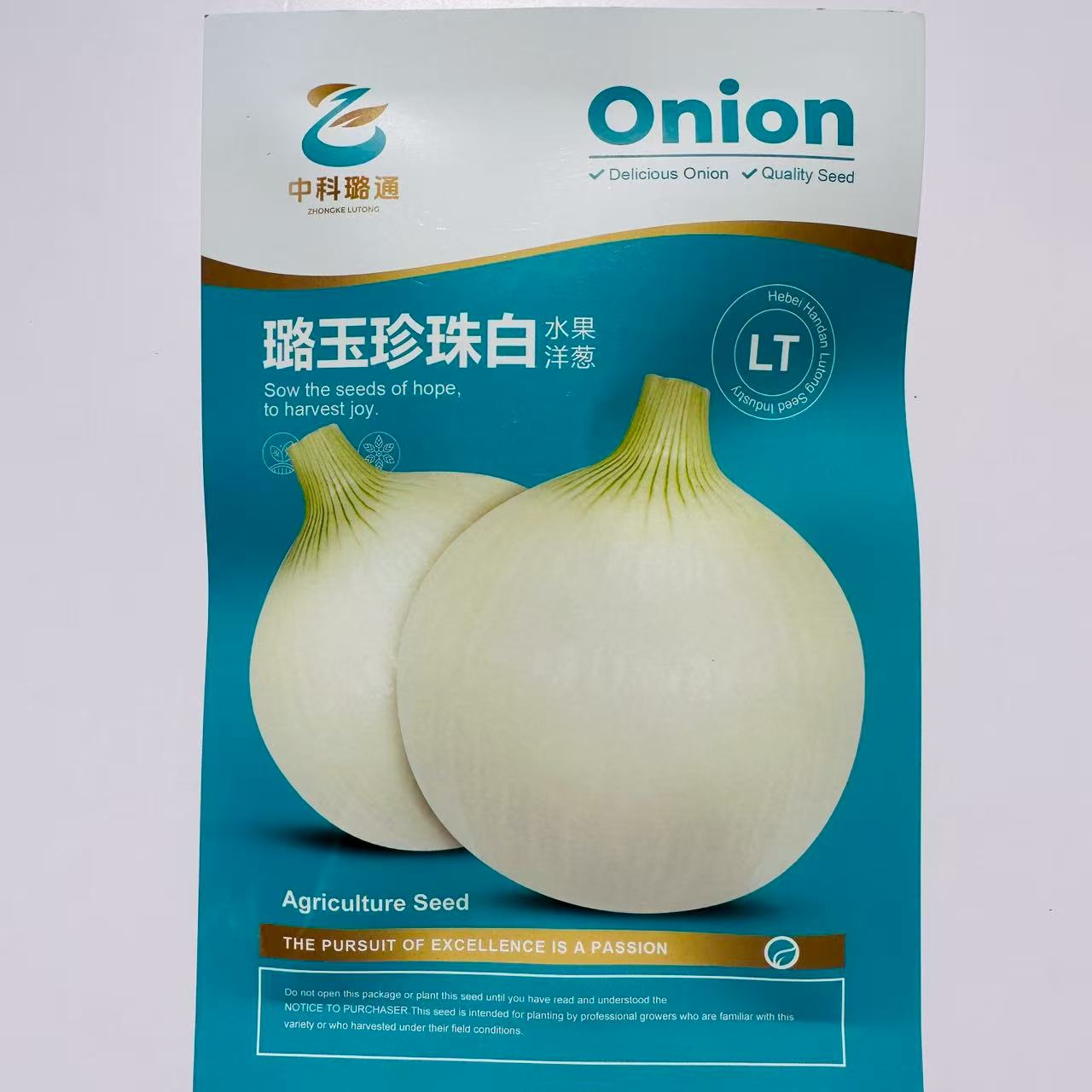 白皮水果洋葱种子白玉洋葱种子中熟白皮洋葱种籽甜脆微辣水果葱籽