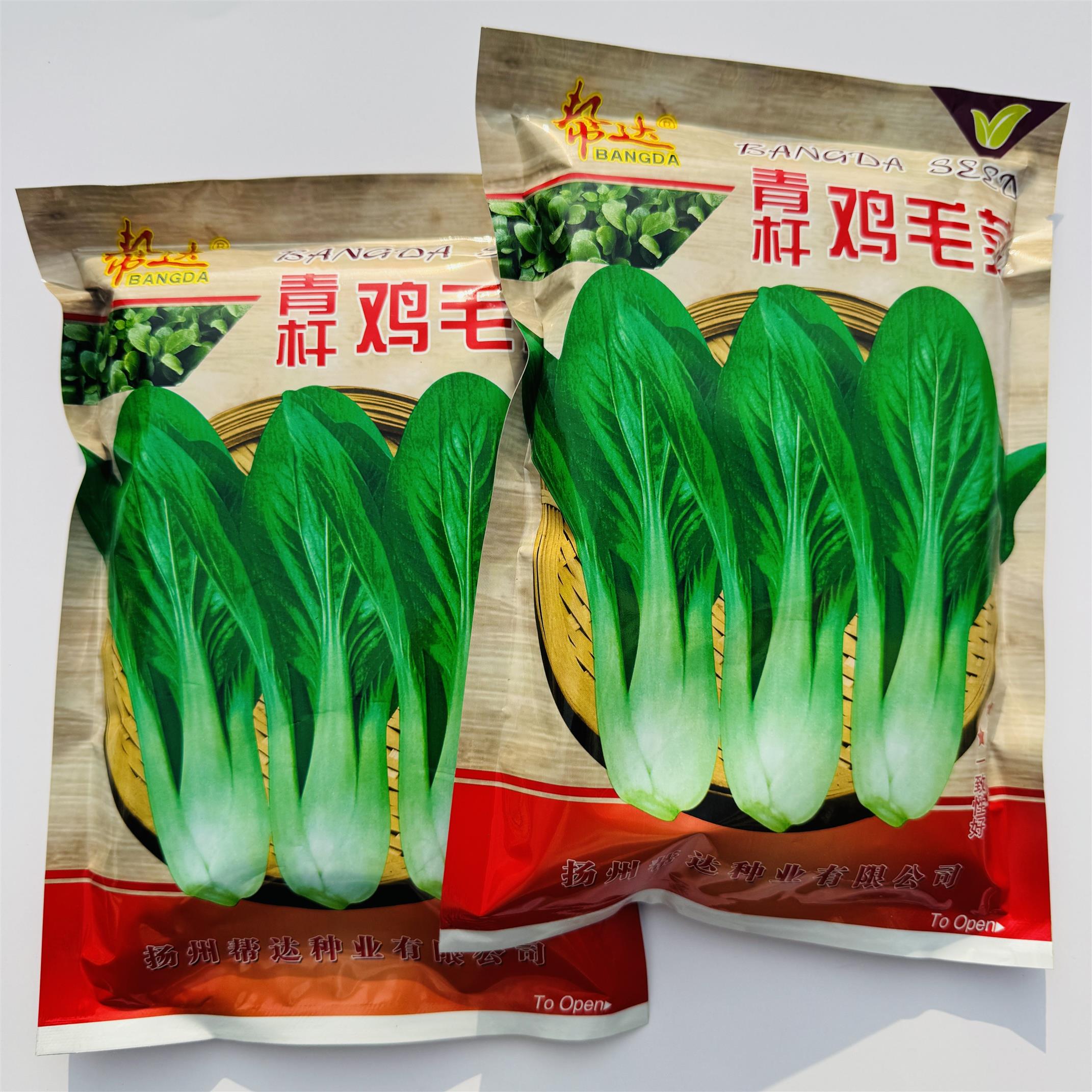 青杆鸡毛菜种子上海青小青菜种籽蔬菜种子四季播高产青菜种籽