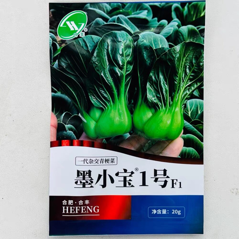 墨小宝1号青梗菜黑叶菜杂交矮脚耐寒种子农家大田基地春秋播