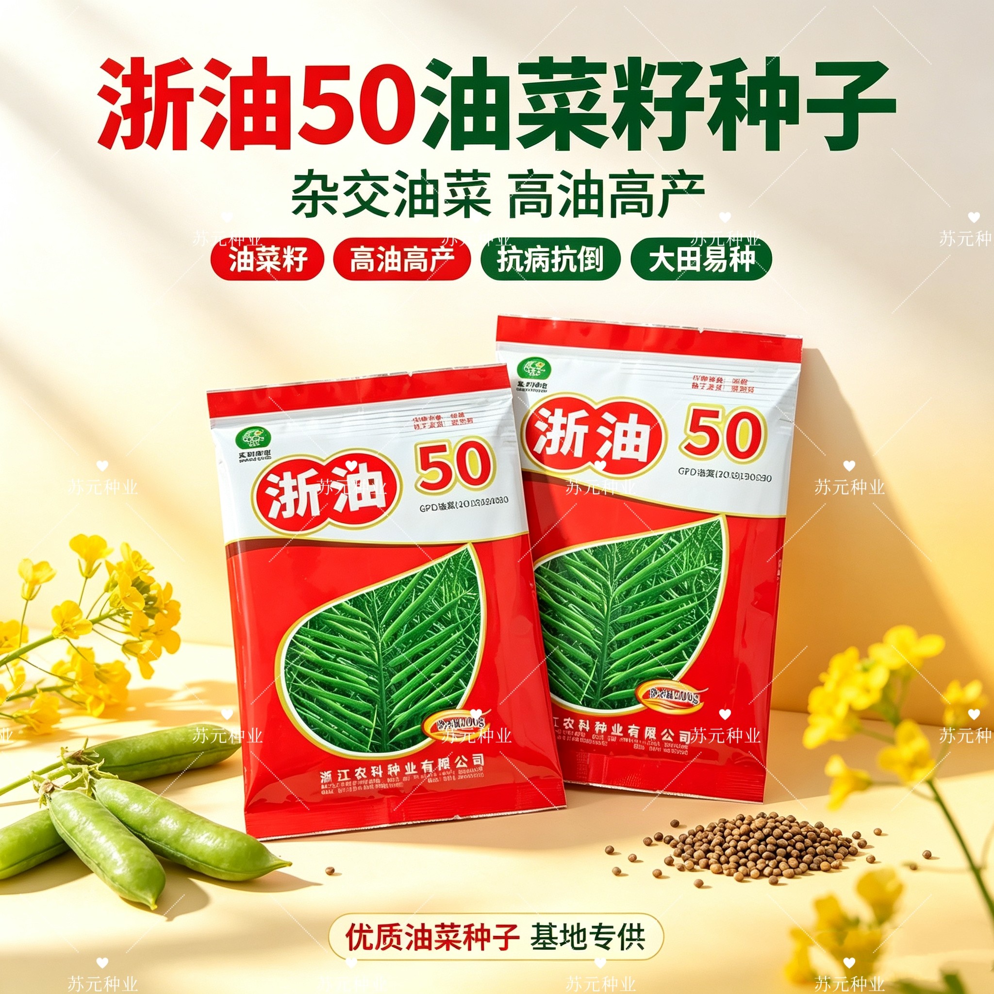 浙油50油菜种子半冬性常规油菜籽抗病抗裂抗寒矮杆食用油油菜种籽