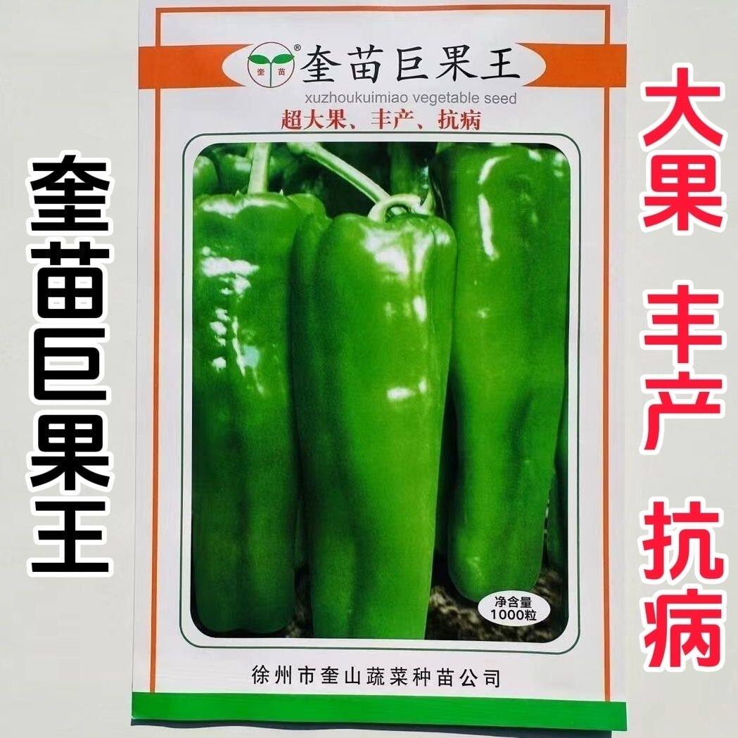 奎苗巨果王辣椒种子早中熟超大果牛角椒种籽抗病蔬菜种子春秋播种