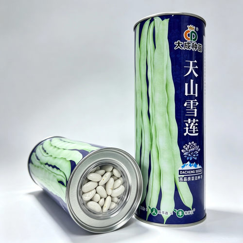 天山雪莲正宗大连白白芸豆架豆种子白豆角芸豆种籽四季豆豆角