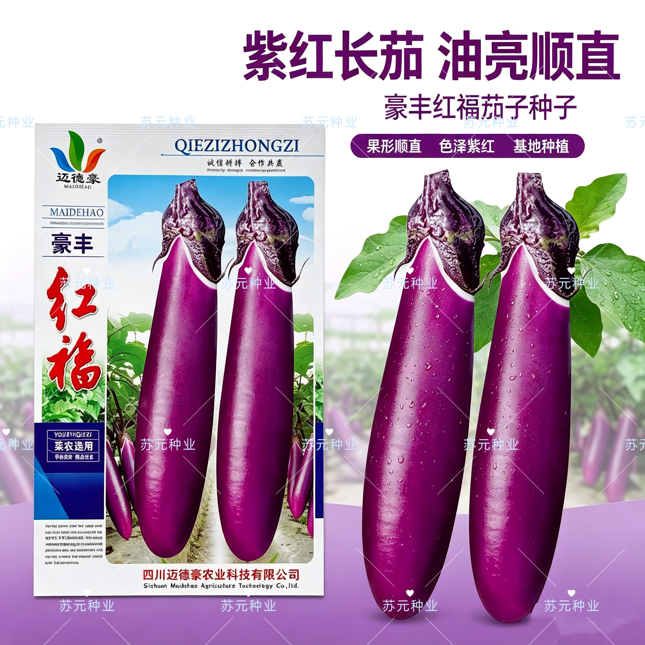 迈德豪豪丰红福早熟长红茄种子 长势好抗病能力强 果皮紫红 薄皮
