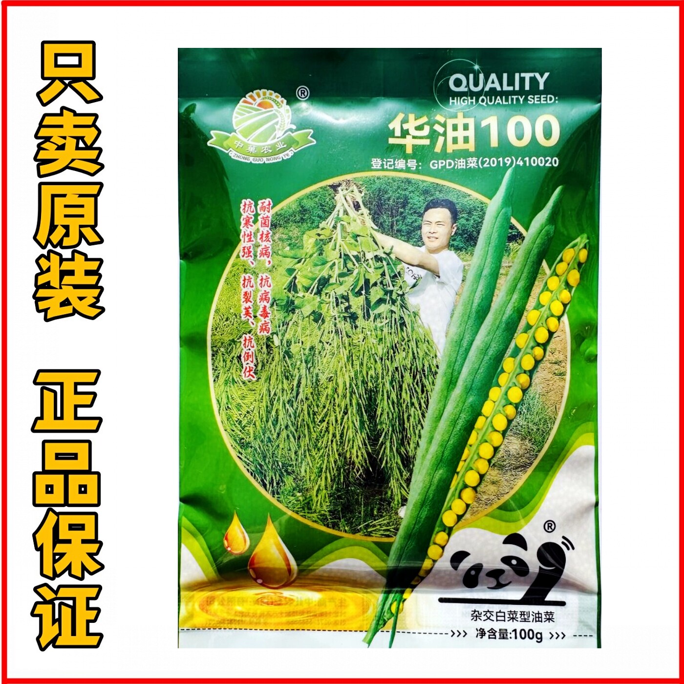 华油100矮杆高产油菜种子抗病性强抗倒伏抗裂荚杂交大田油菜种子