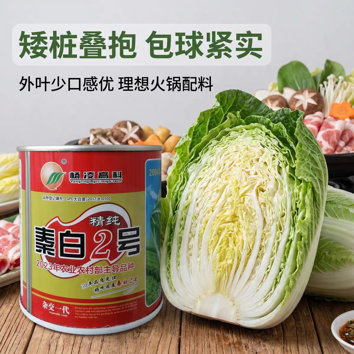 秦白2号大白菜种子矮桩叠抱抗病高产耐储秋冬农家大田蔬菜种籽子